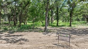 Lot #11 Trinity Ridge Drive - Photo 3