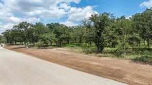 Lot #11 Trinity Ridge Drive - Photo 5