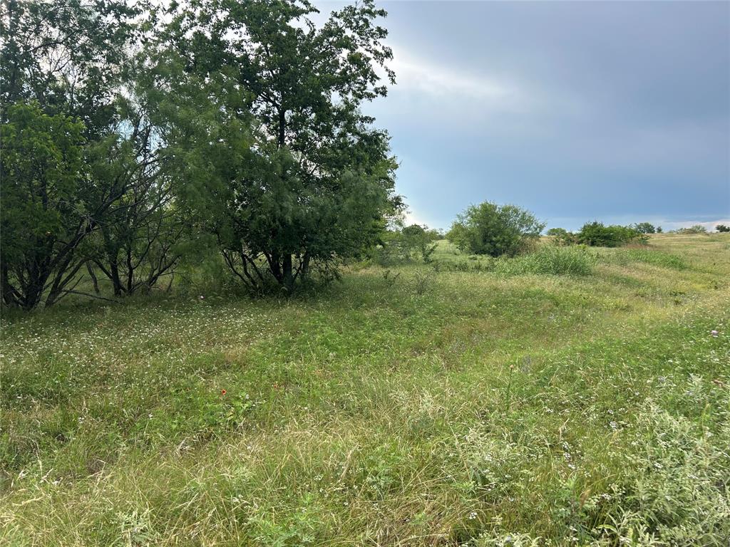 4060 Mirielle Drive - Photo 1