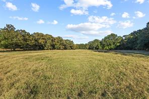 312 County Road 2100 - Photo 21