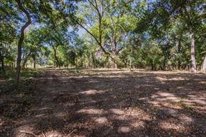 342 Tatanka Trail - Photo 10