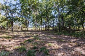 342 Tatanka Trail - Photo 11