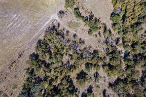 342 Tatanka Trail - Photo 14
