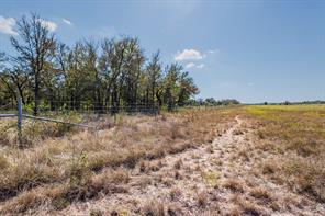 342 Tatanka Trail - Photo 15