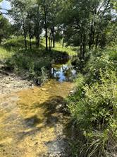 342 Tatanka Trail - Photo 2
