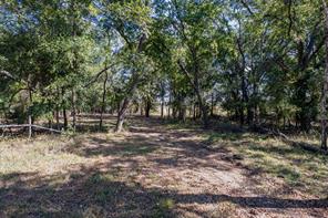342 Tatanka Trail - Photo 20