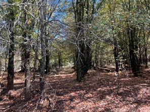TBD Uselton Road - Photo 12