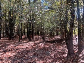 TBD Uselton Road - Photo 13