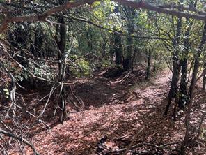 TBD Uselton Road - Photo 14