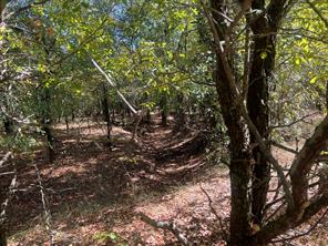 TBD Uselton Road - Photo 19