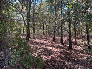 TBD Uselton Road - Photo 21