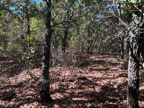 TBD Uselton Road - Photo 22