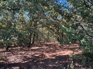 TBD Uselton Road - Photo 23