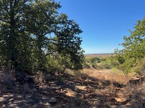 TBD Uselton Road - Photo 27