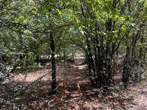 TBD Uselton Road - Photo 4