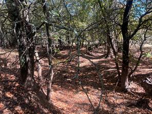 TBD Uselton Road - Photo 5