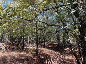 TBD Uselton Road - Photo 6