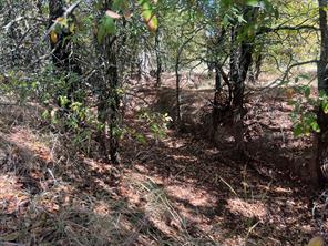 TBD Uselton Road - Photo 7
