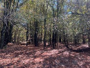 TBD Uselton Road - Photo 8