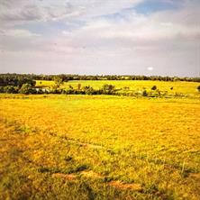 125 Long View - Photo 11