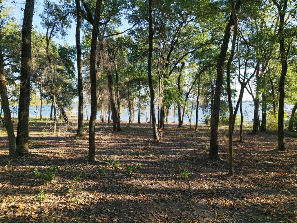 367 PR 5826 - Photo 3