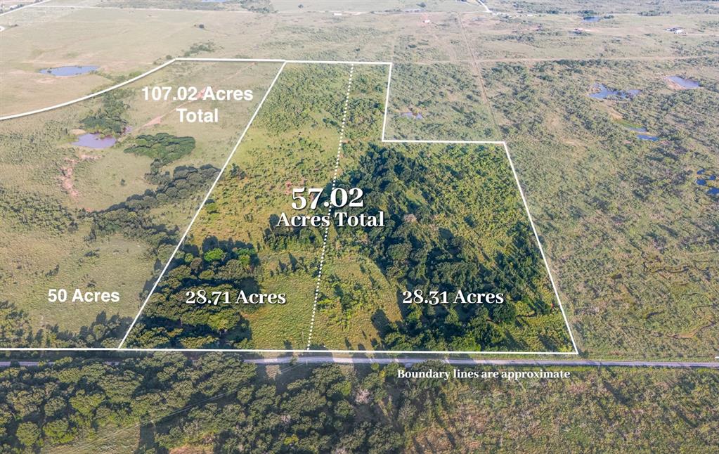 TBD Tract 6 50 Acres Boren Road - Photo 1