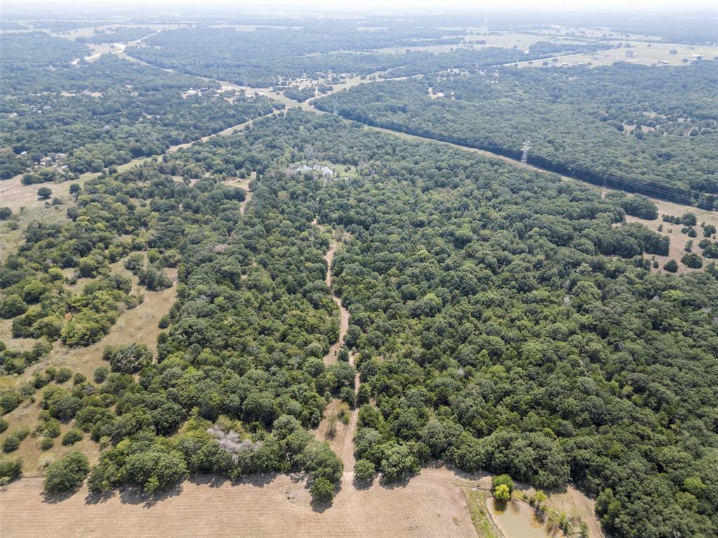 16043 County Road-339 - Photo 17