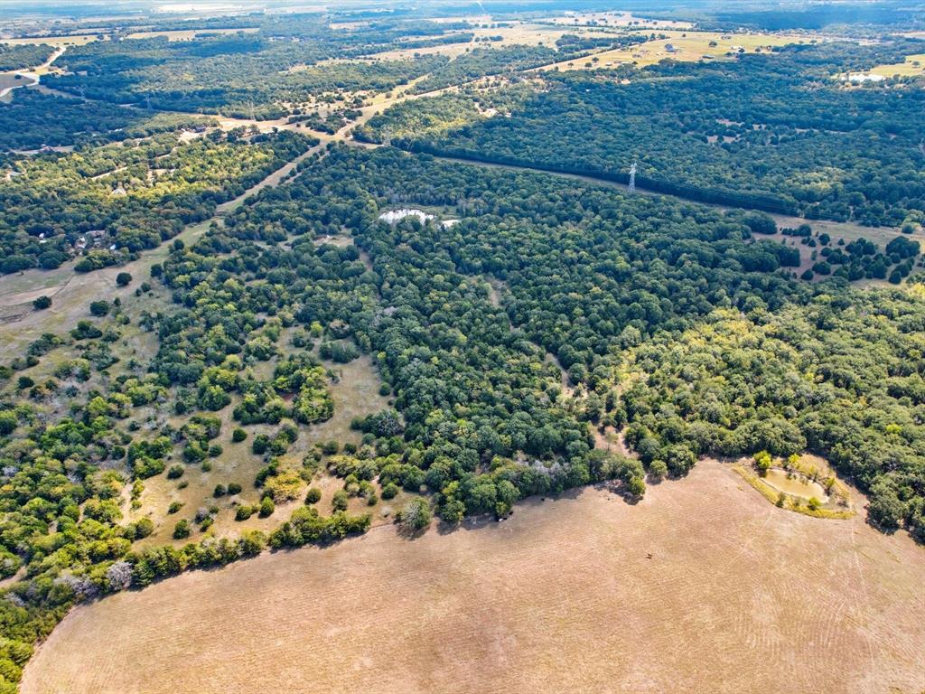 16043 County Road-339 - Photo 3