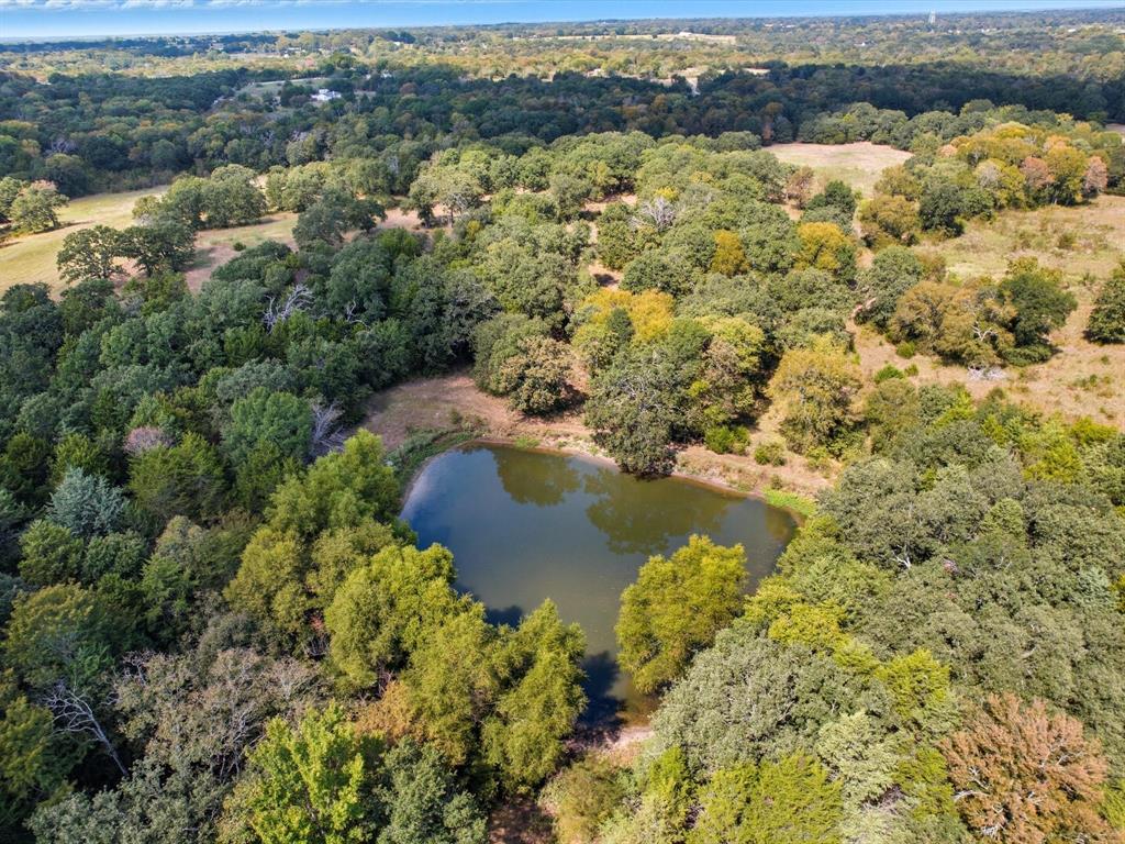 16043 County Road-339 - Photo 4