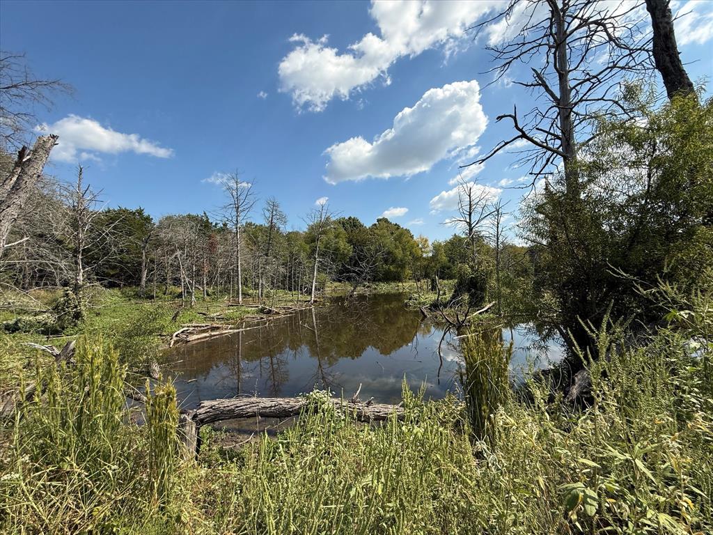 16043 County Road-339 - Photo 6