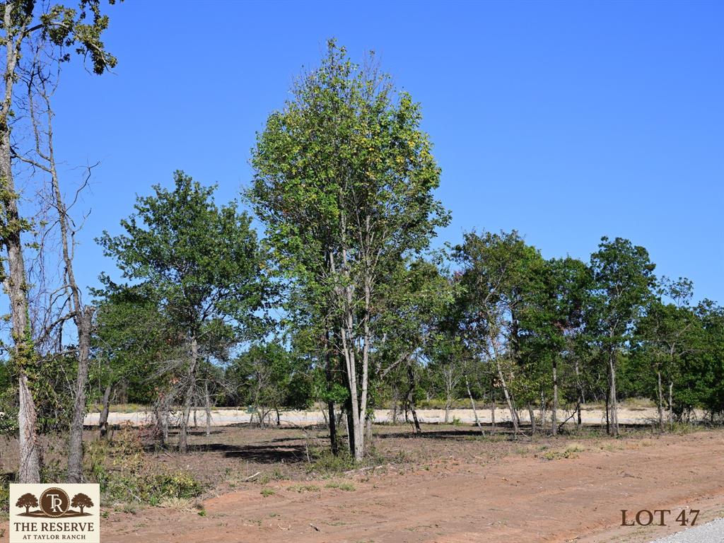 Lot 47 Colt Road - Photo 1