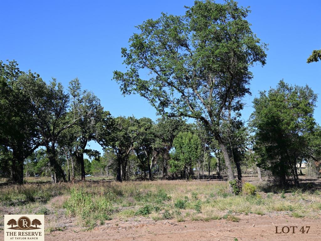 Lot 47 Colt Road - Photo 2