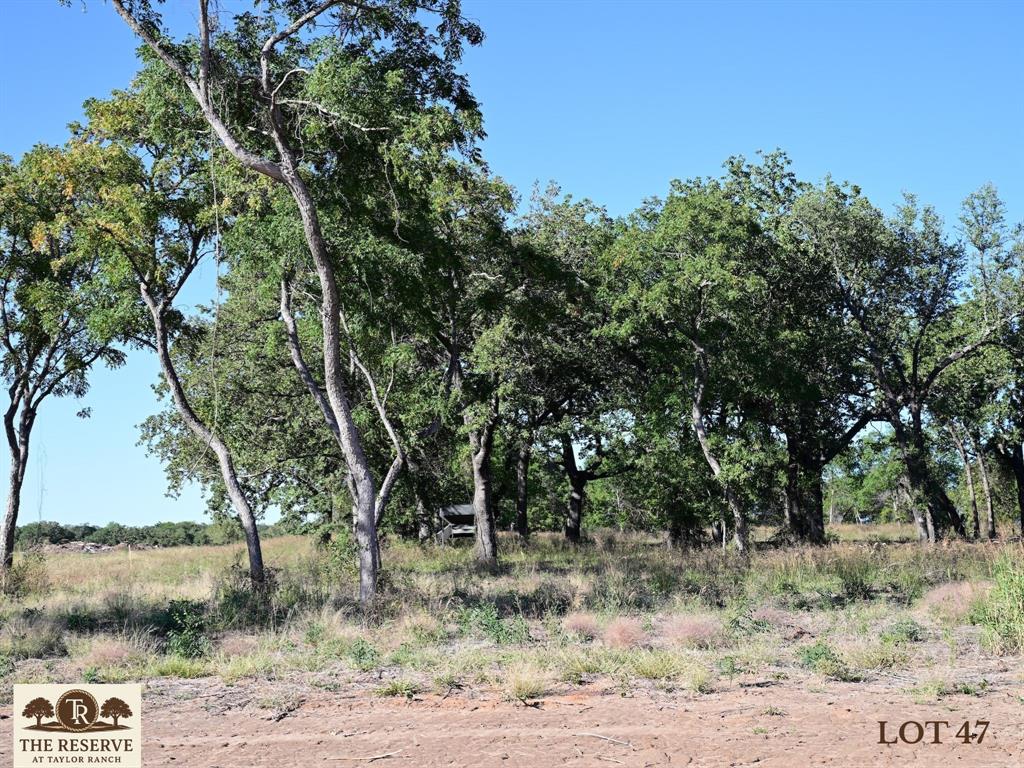 Lot 47 Colt Road - Photo 3