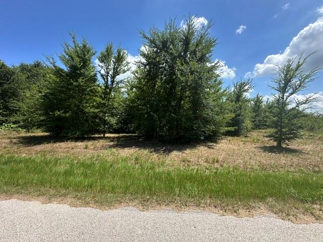 527 Tahiti Lane - Photo 1