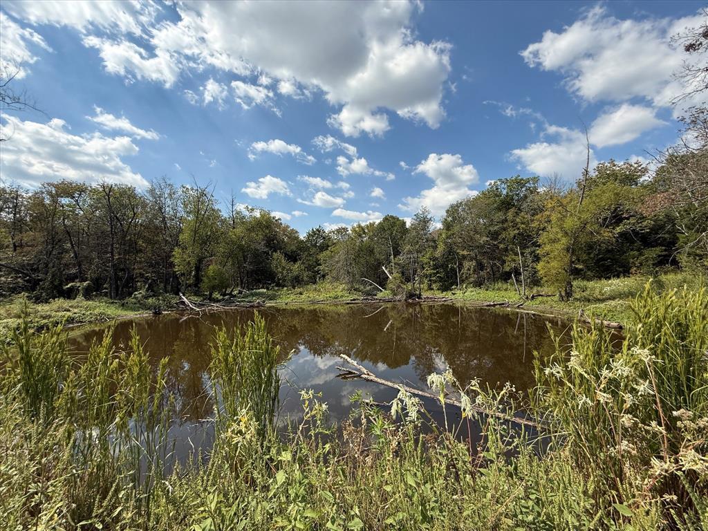 0 CR-339 - Photo 11