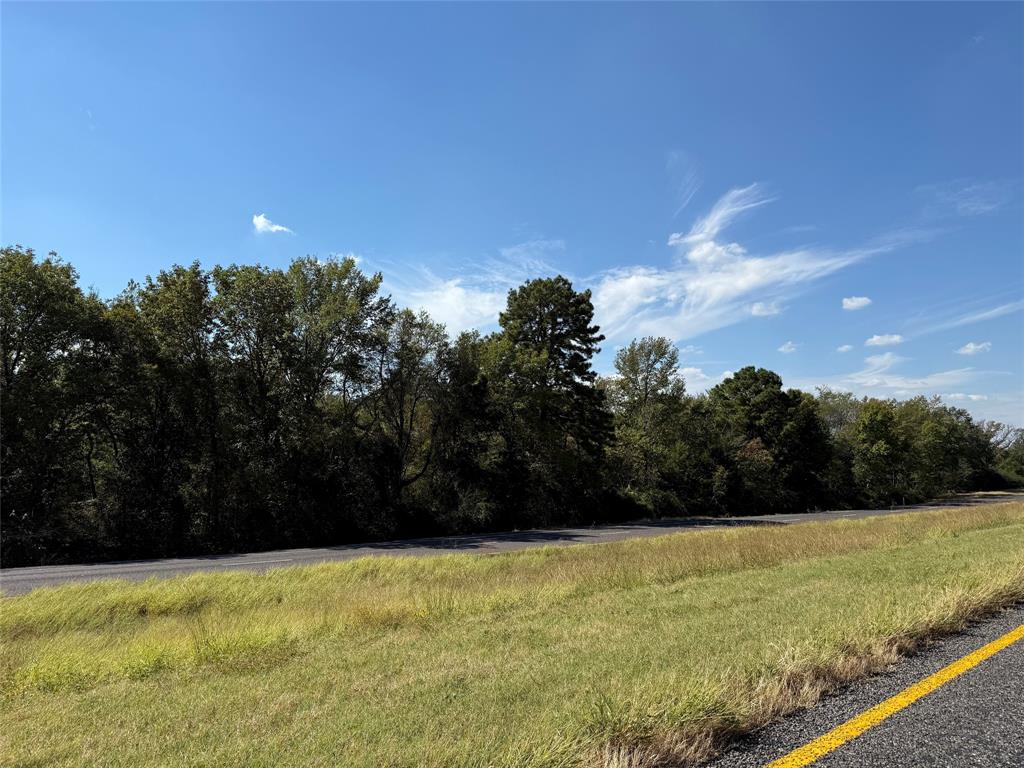 TBD E US Highway 80 - Photo 1