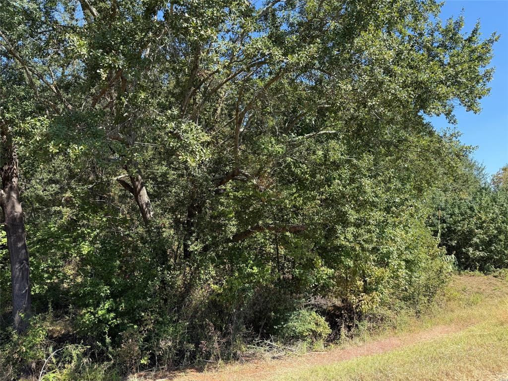 TBD E US Highway 80 - Photo 5