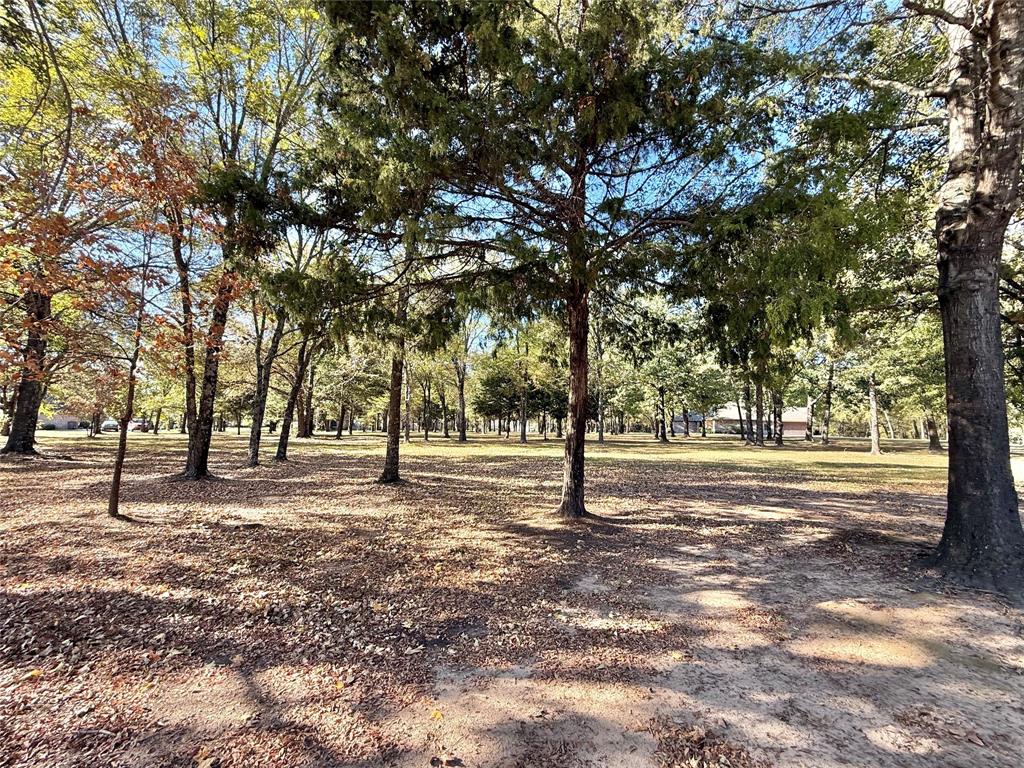 0000 Private Road 5943 - Photo 10