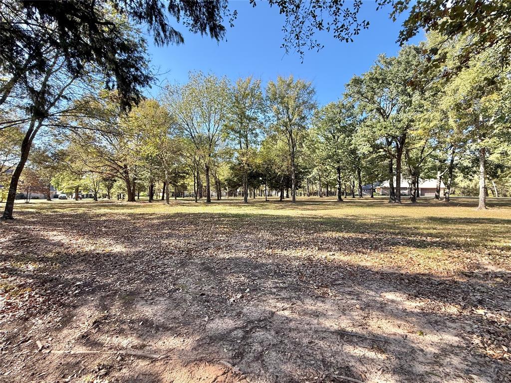 TBD Private Road 5943 - Photo 6
