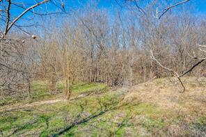 TBD 0 Hwy 171 - Photo 27