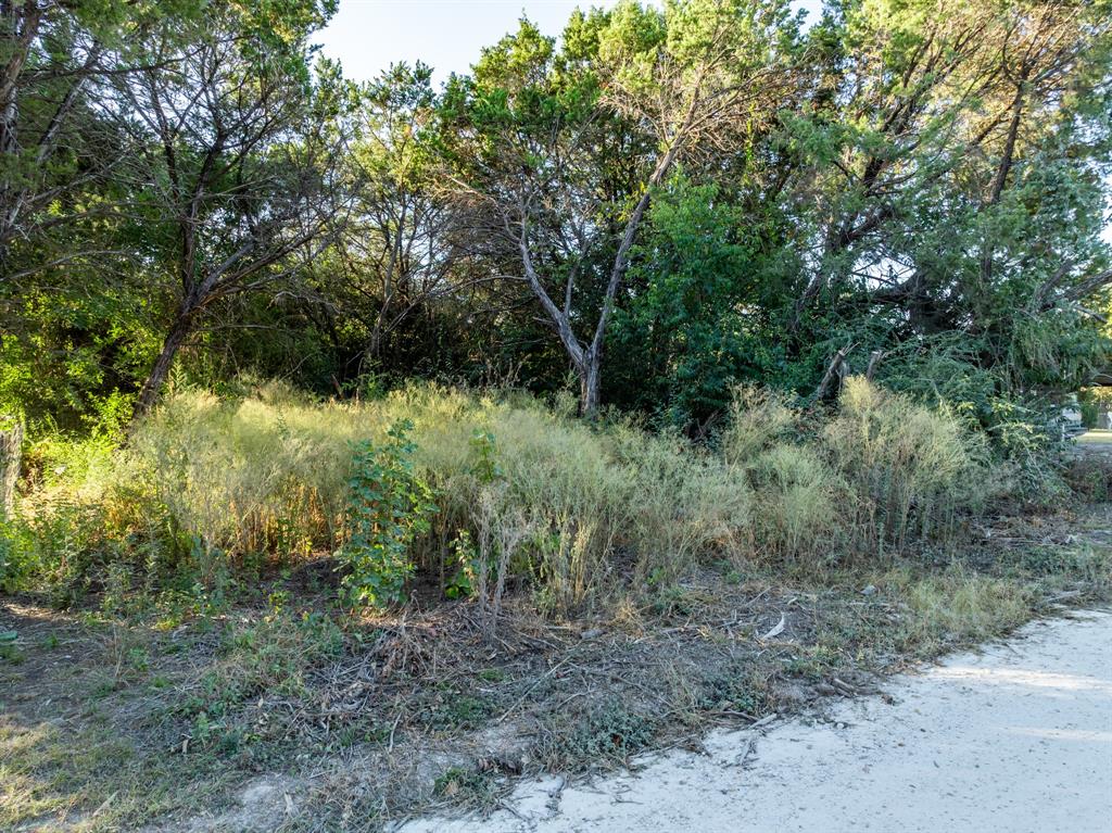 TBD Cedar Drive - Photo 7