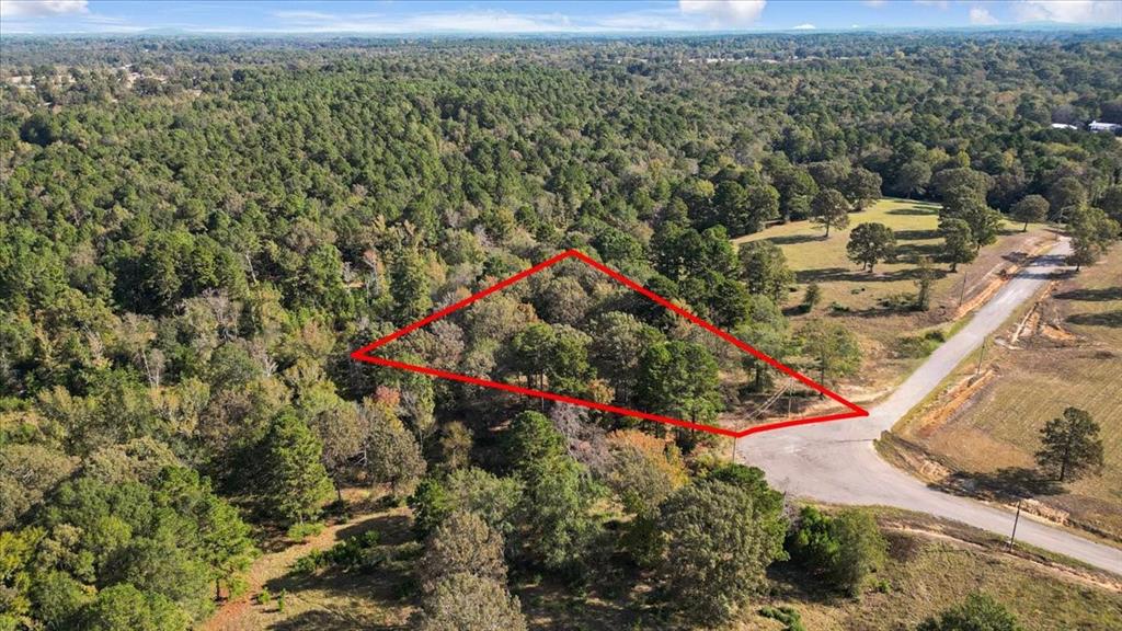 TBD PR 3398 Road - Photo 1