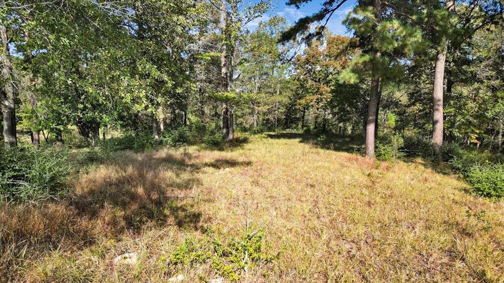 TBD PR 3398 Road - Photo 10
