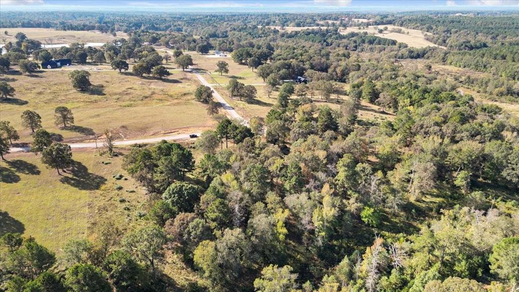 TBD PR 3398 Road - Photo 15