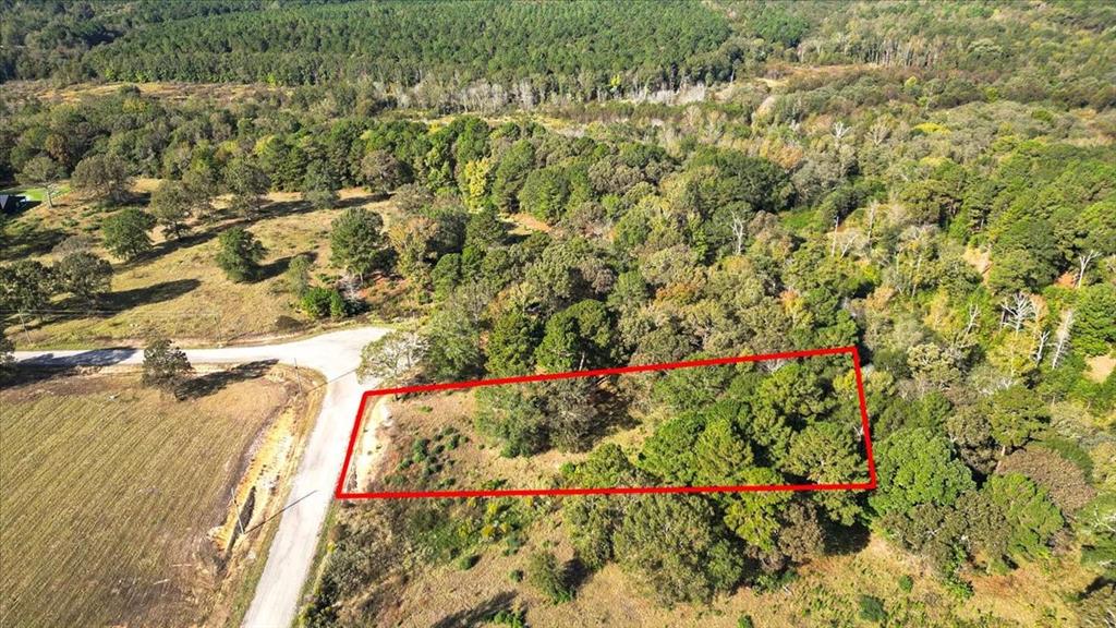 TBD PR 3398 Road - Photo 19