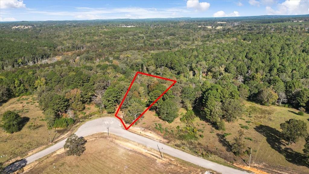 TBD PR 3398 Road - Photo 4