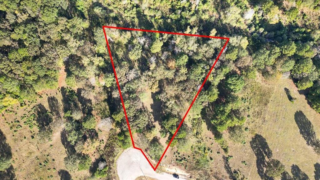 TBD PR 3398 Road - Photo 5