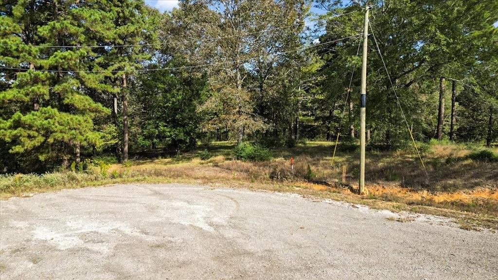 TBD PR 3398 Road - Photo 8