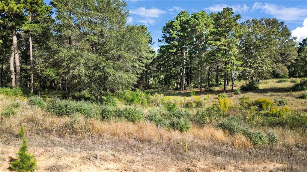 TBD PR 3398 Road - Photo 9