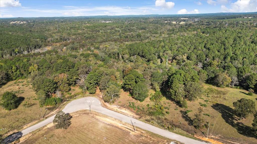 TBD Private Road - Photo 12